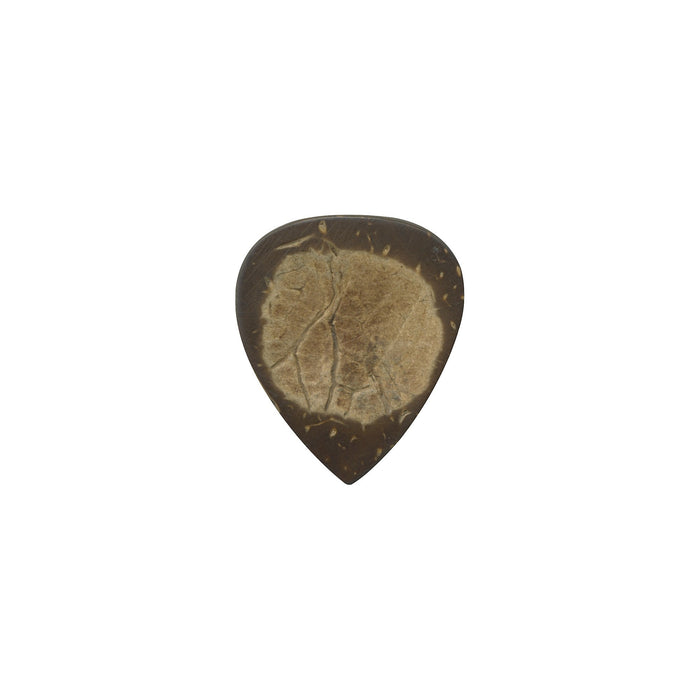 Clayton USA Exotic Coconut Shell