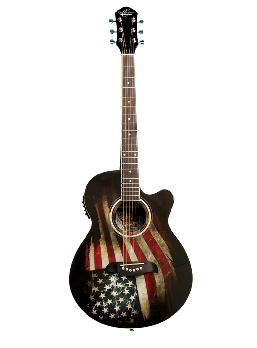 Oscar Schmidt Flag Acoustic Elect.