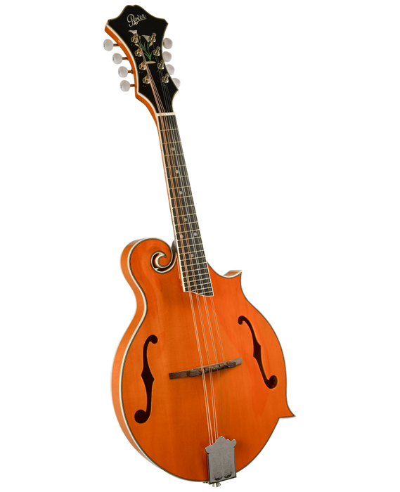 Rover Mandolin Deluxe RM-75 F-Model