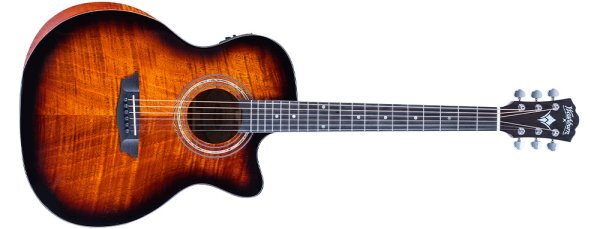 Washburn WCG!12FCE Acoustic Guitar