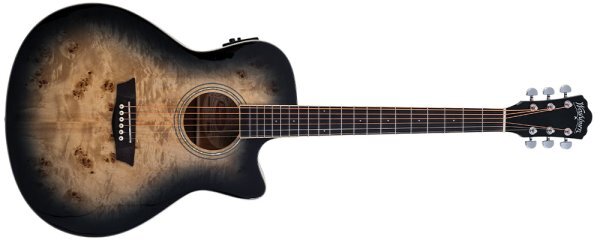 Washburn  deep Forest Burl Acoustic Guitar