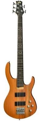 Palmer Magnum 6 QTBK Bass